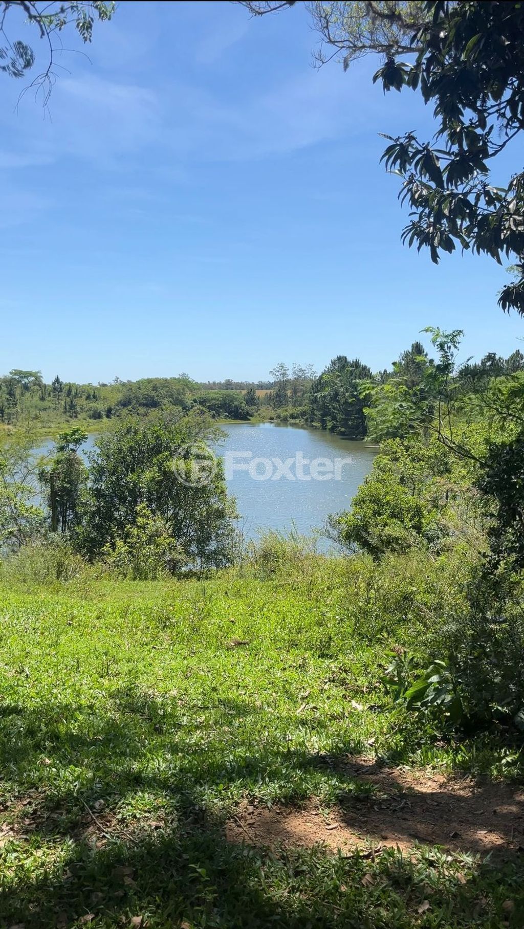 terreno lote condominio para comprar em Cândido Pinheiro de Barcelos, 3883 - foto 9