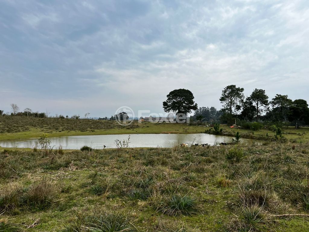 terreno lote condominio para comprar em Cândido Pinheiro de Barcelos, 3883 - foto 6