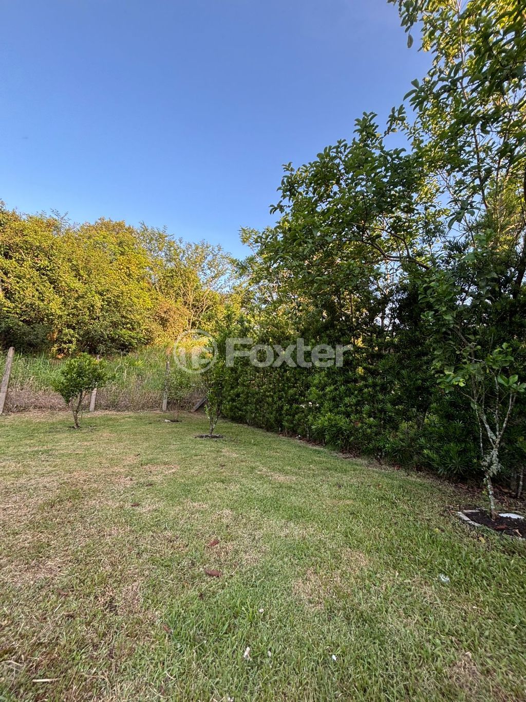 casa sobrado para comprar em Eva De Azevedo Vieira, 95 - foto 16