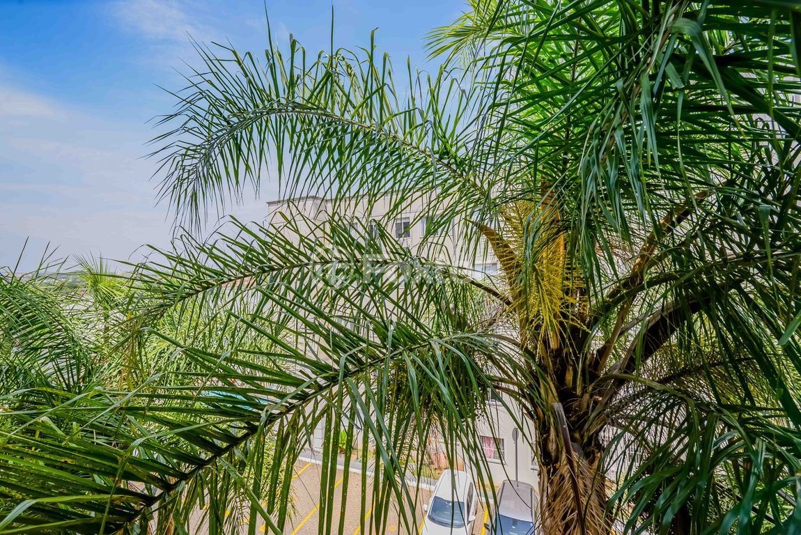 Apartamento para comprar em Baltazar de Oliveira Garcia, 2396 - foto 34