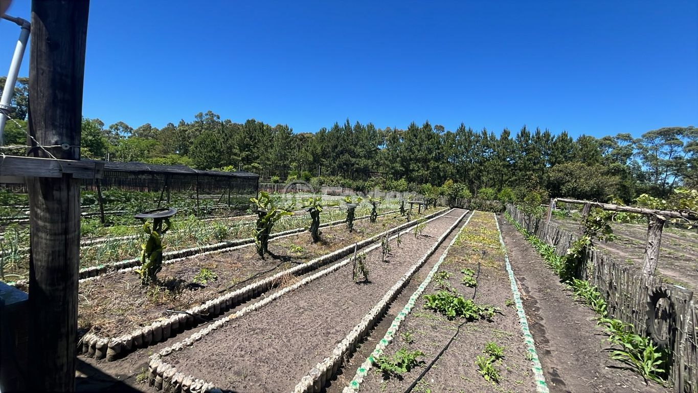 sitio chachara fazenda para comprar em Paraiba, 327 - foto 12