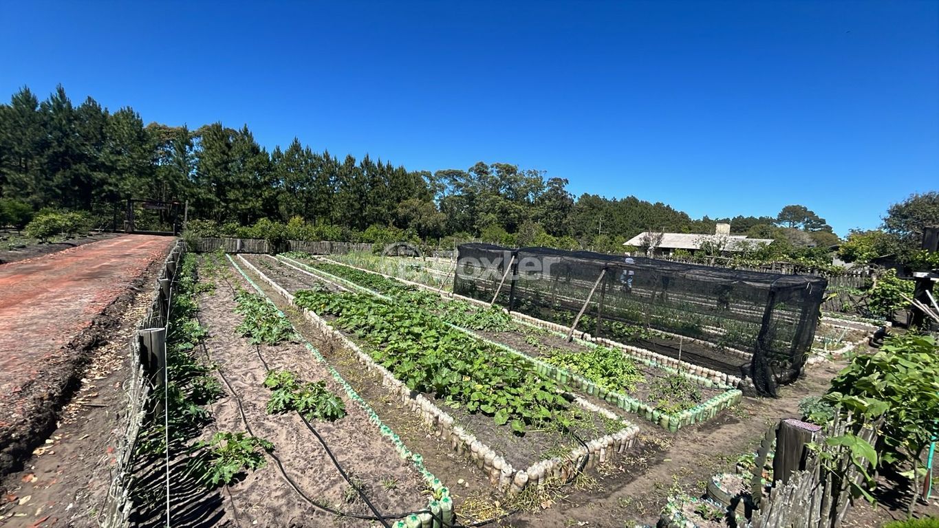 sitio chachara fazenda para comprar em Paraiba, 327 - foto 13