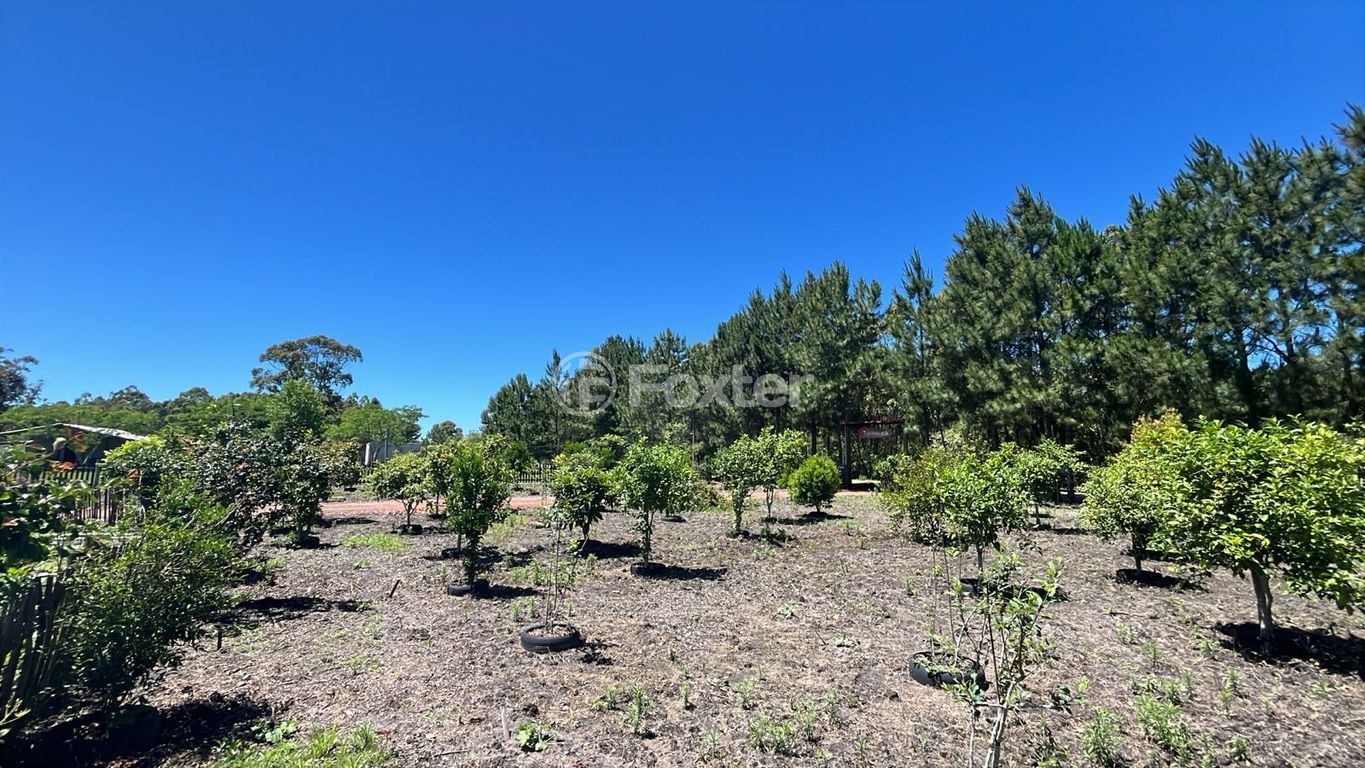 sitio chachara fazenda para comprar em Paraiba, 327 - foto 14