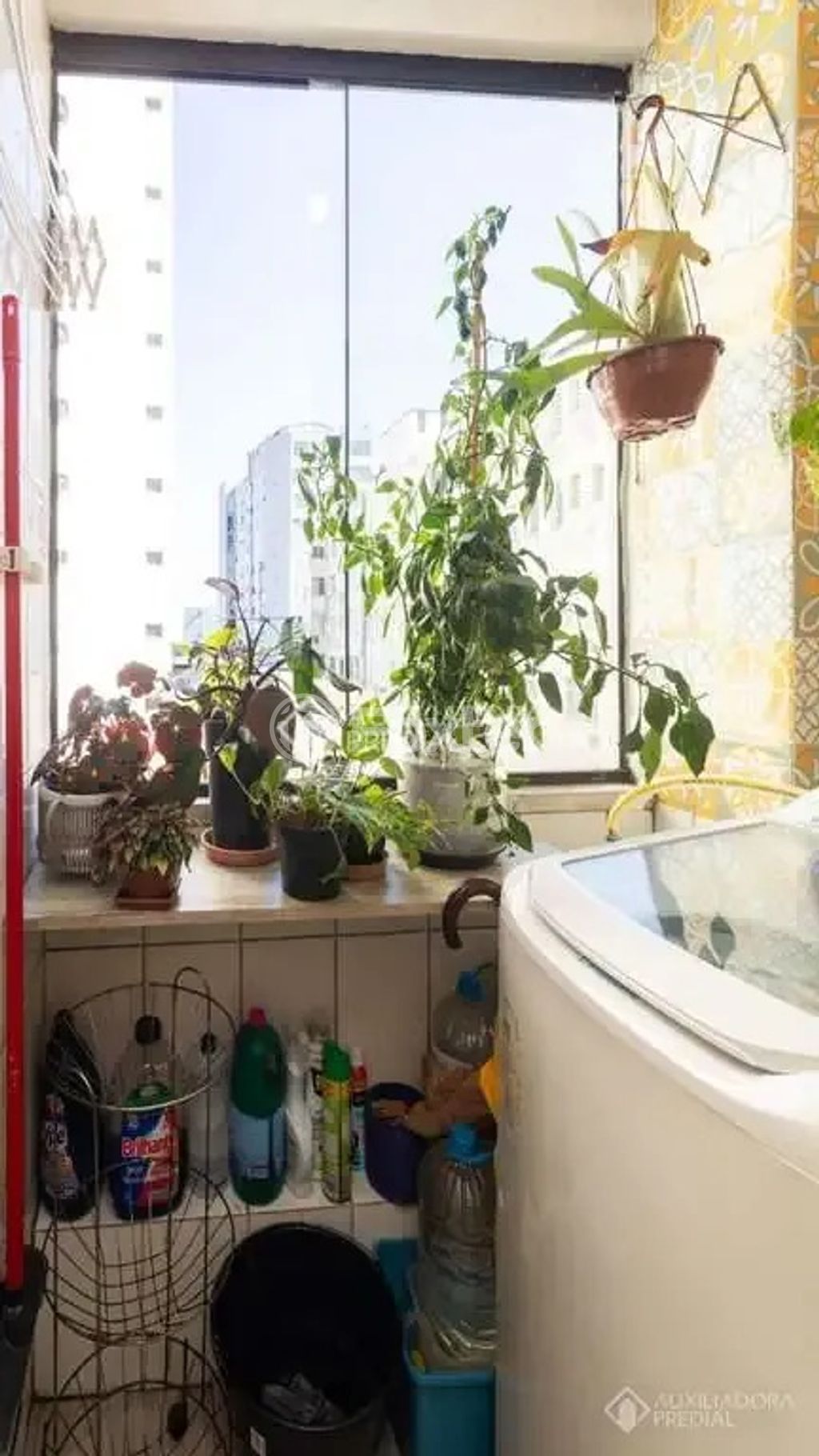 Apartamento para comprar em LOUREIRO DA SILVA, 1688 - foto 13