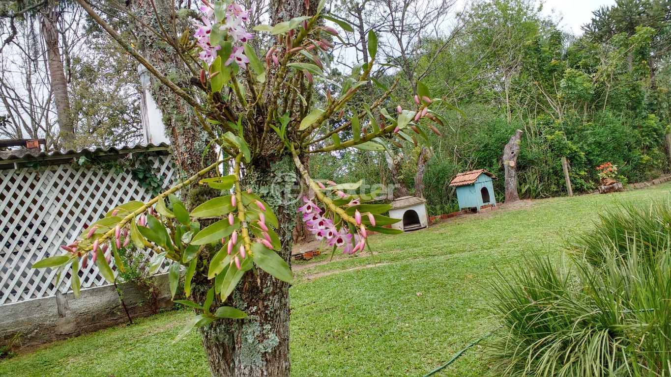 sitio chachara fazenda para comprar em Passo da Batalha, 486 - foto 18
