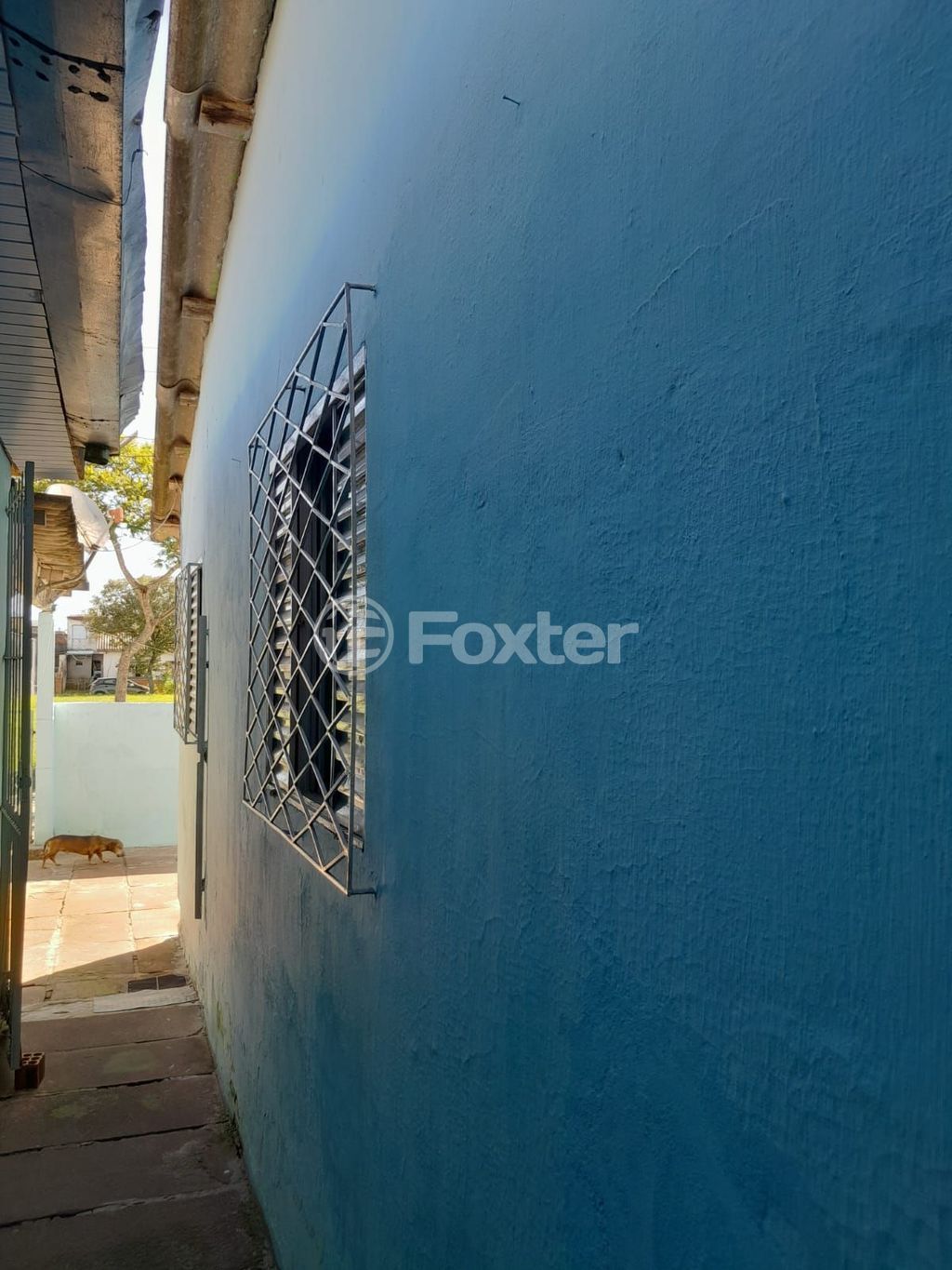 Foto do Anuncio