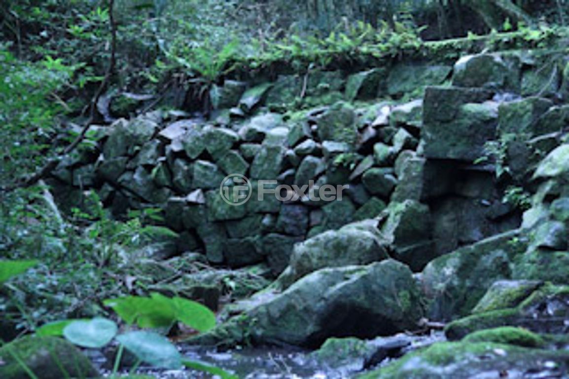 sitio chachara fazenda para comprar em Rubi, 1060 - foto 12