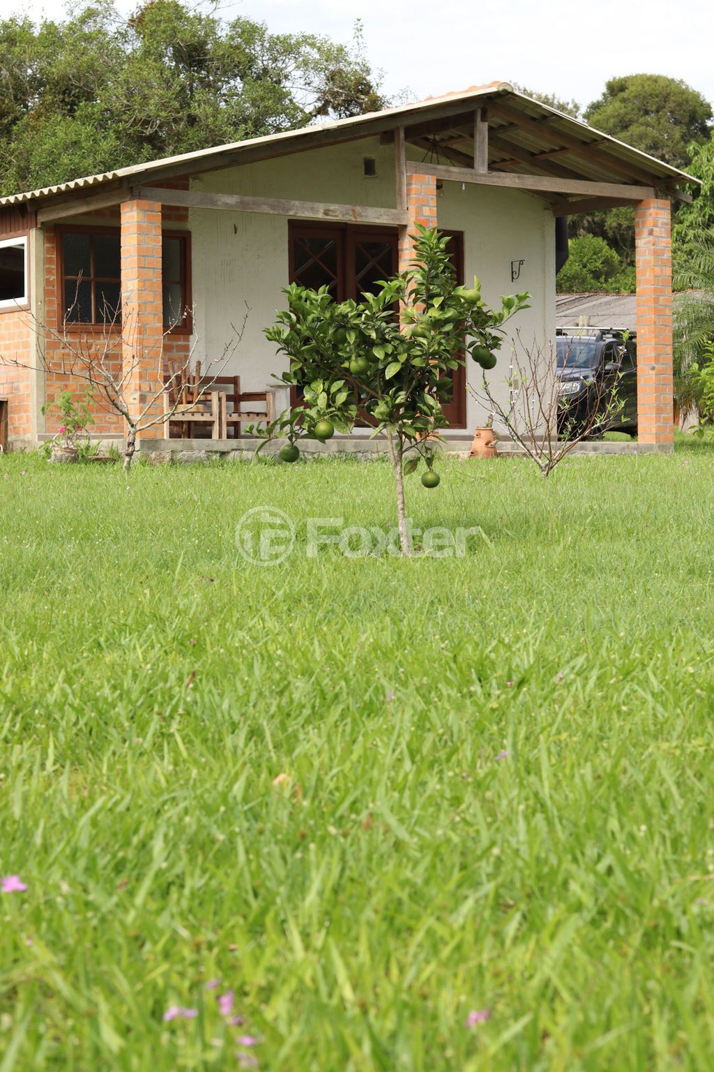 sitio chachara fazenda para comprar em Rubi, 1060 - foto 13