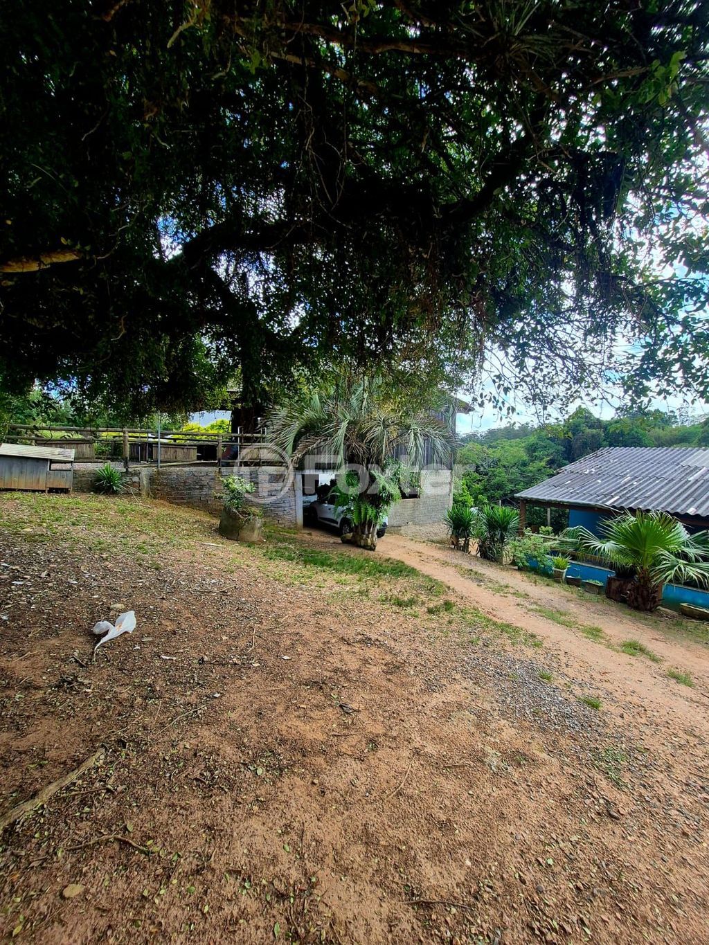 sitio chachara fazenda para comprar em Caminho do Meio, 1363 - foto 9