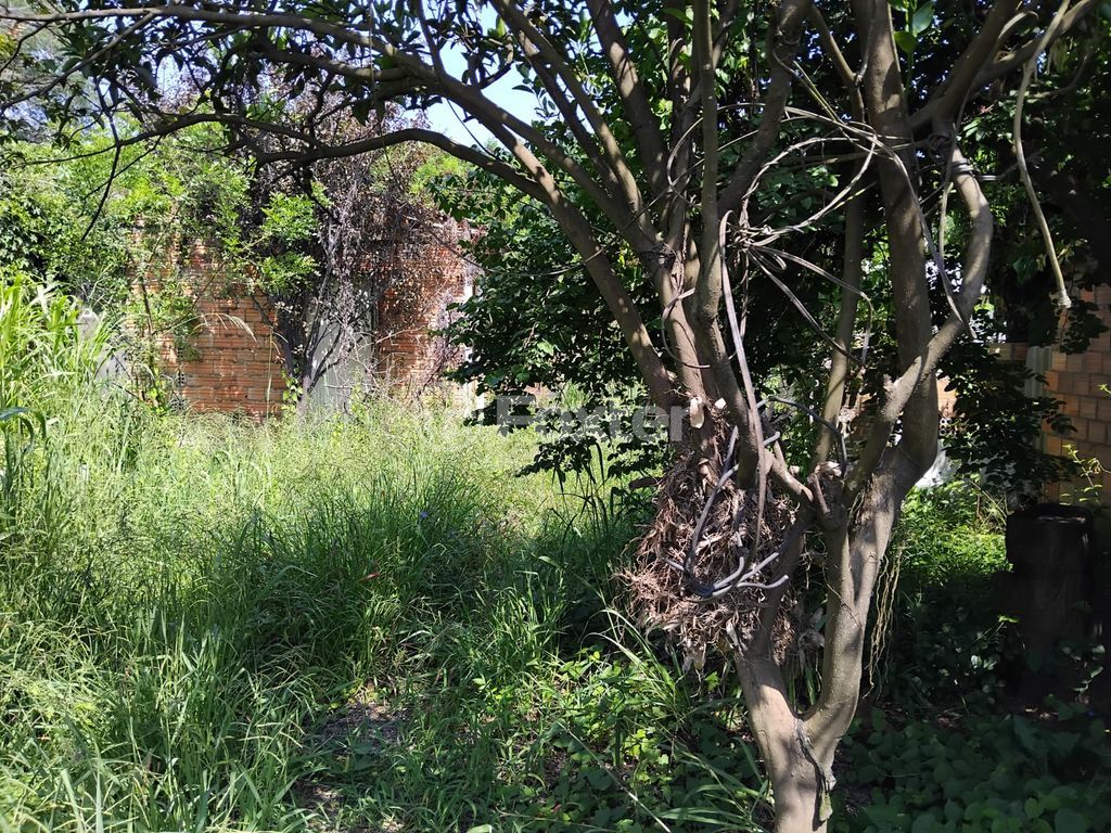casa sobrado para comprar em Torres, 56 - foto 22