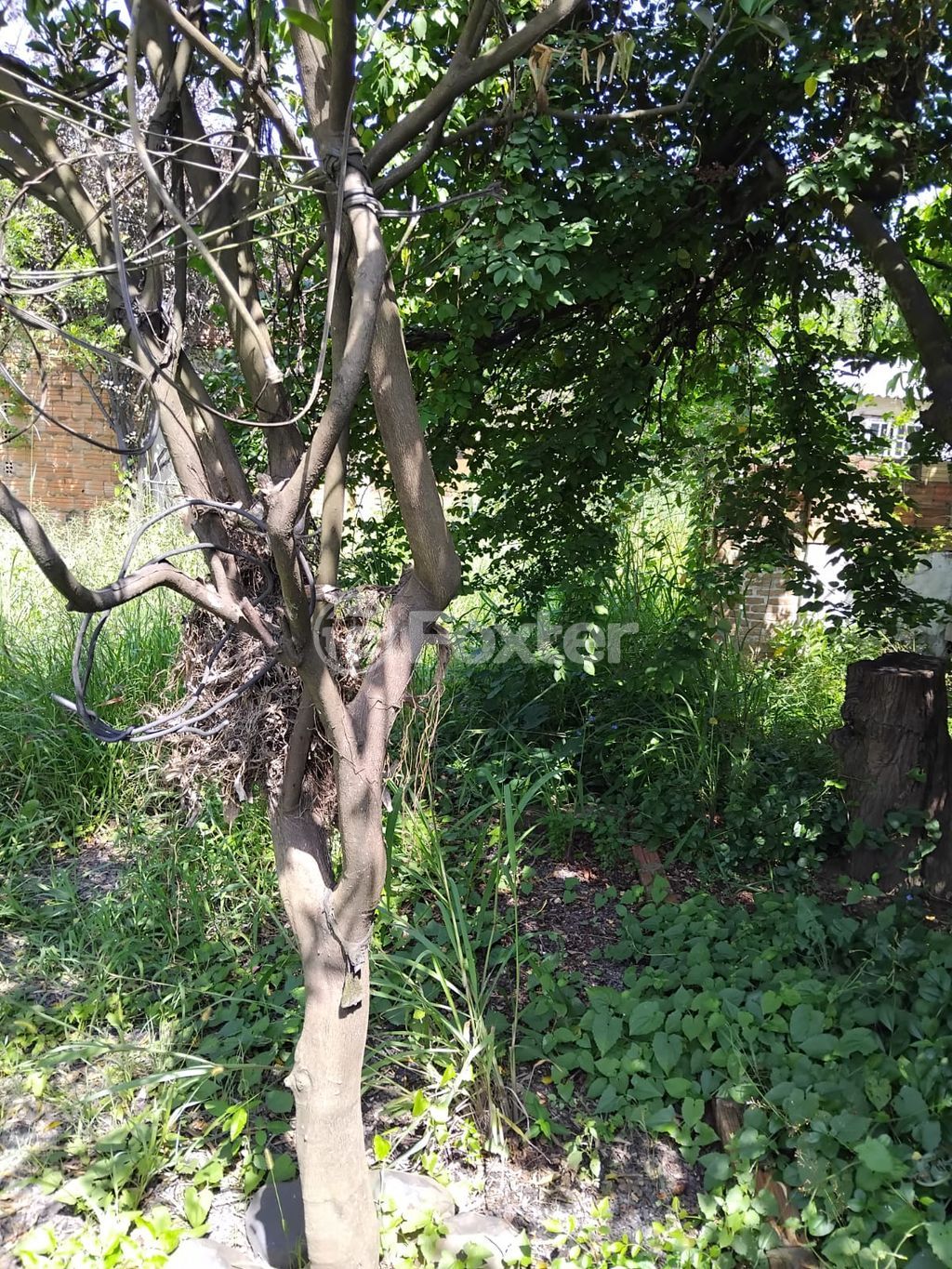 casa sobrado para comprar em Torres, 56 - foto 21