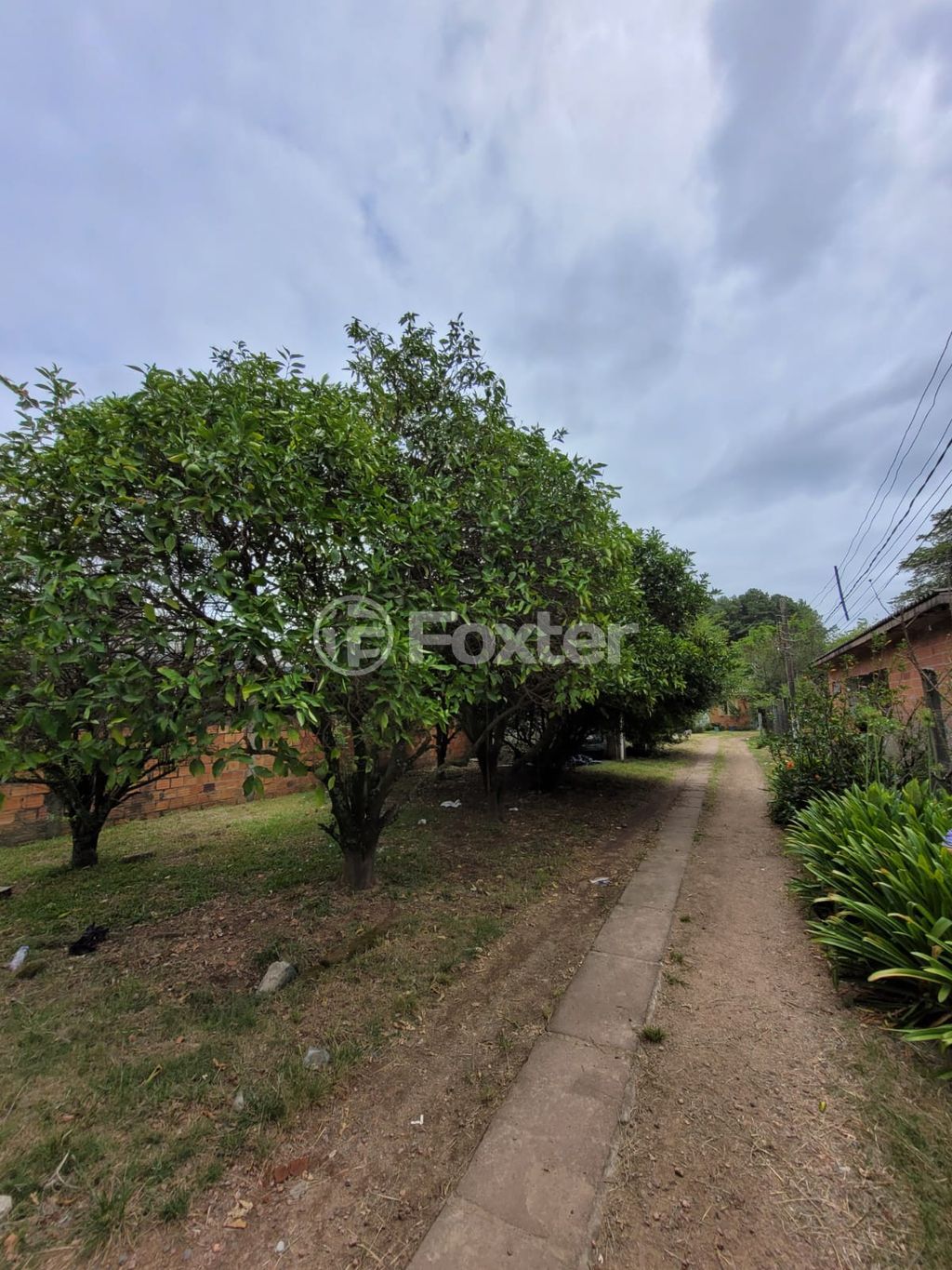 sitio chachara fazenda para comprar em das Espatódeas, 231 - foto 8