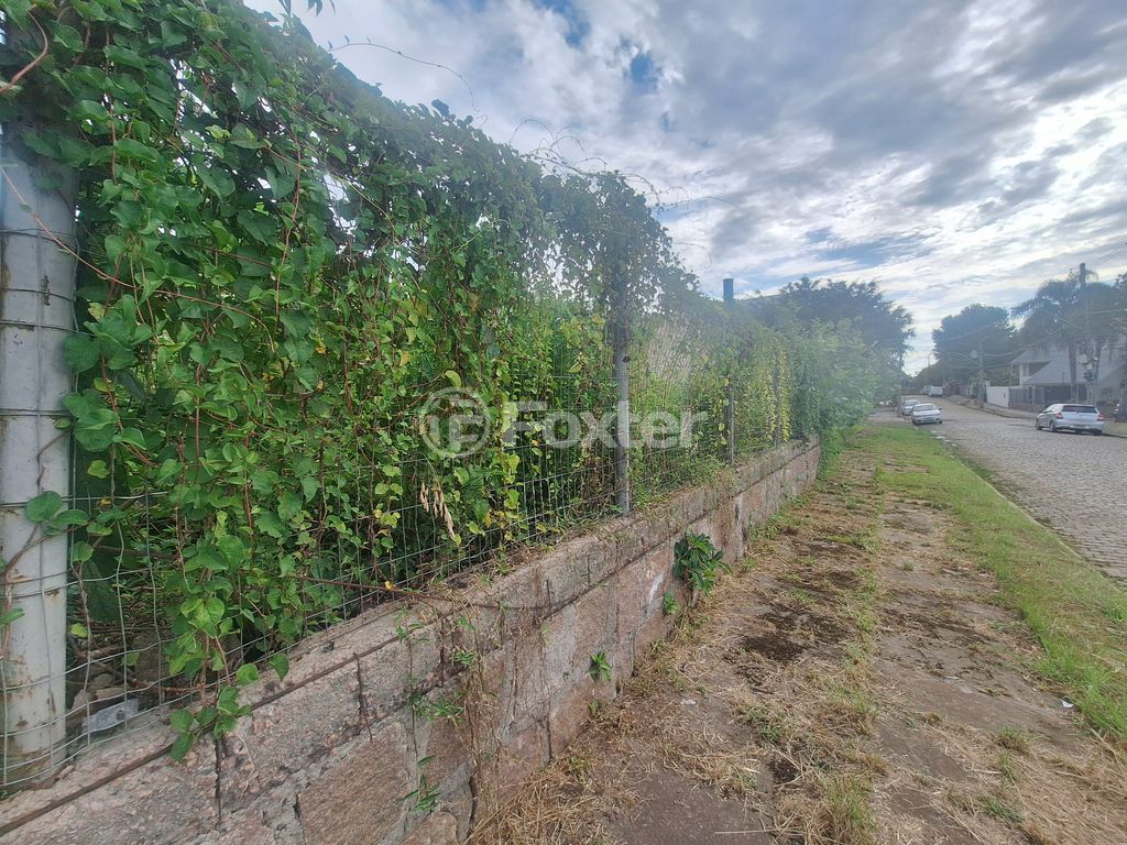terreno lote condominio para comprar em Padre João Batista Reus, 653 - foto 3