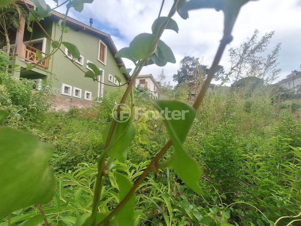 terreno lote condominio para comprar em Padre João Batista Reus, 653 - foto 4