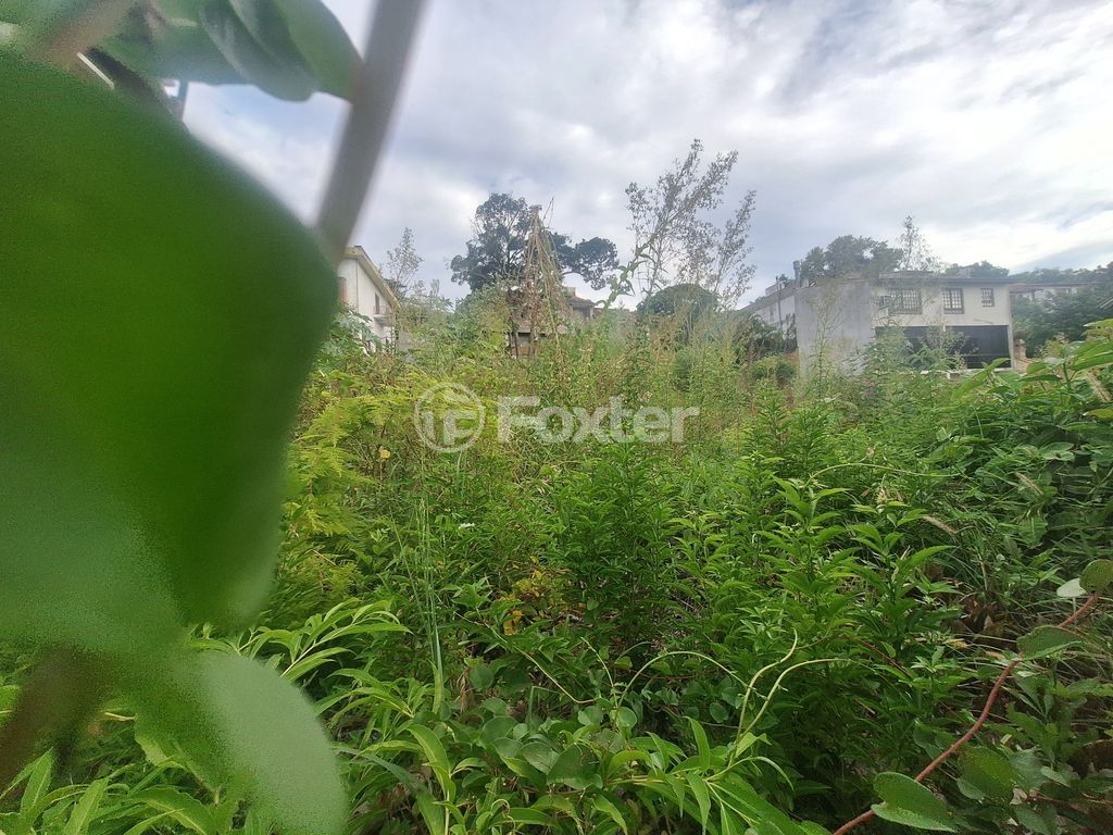 terreno lote condominio para comprar em Padre João Batista Reus, 653 - foto 5