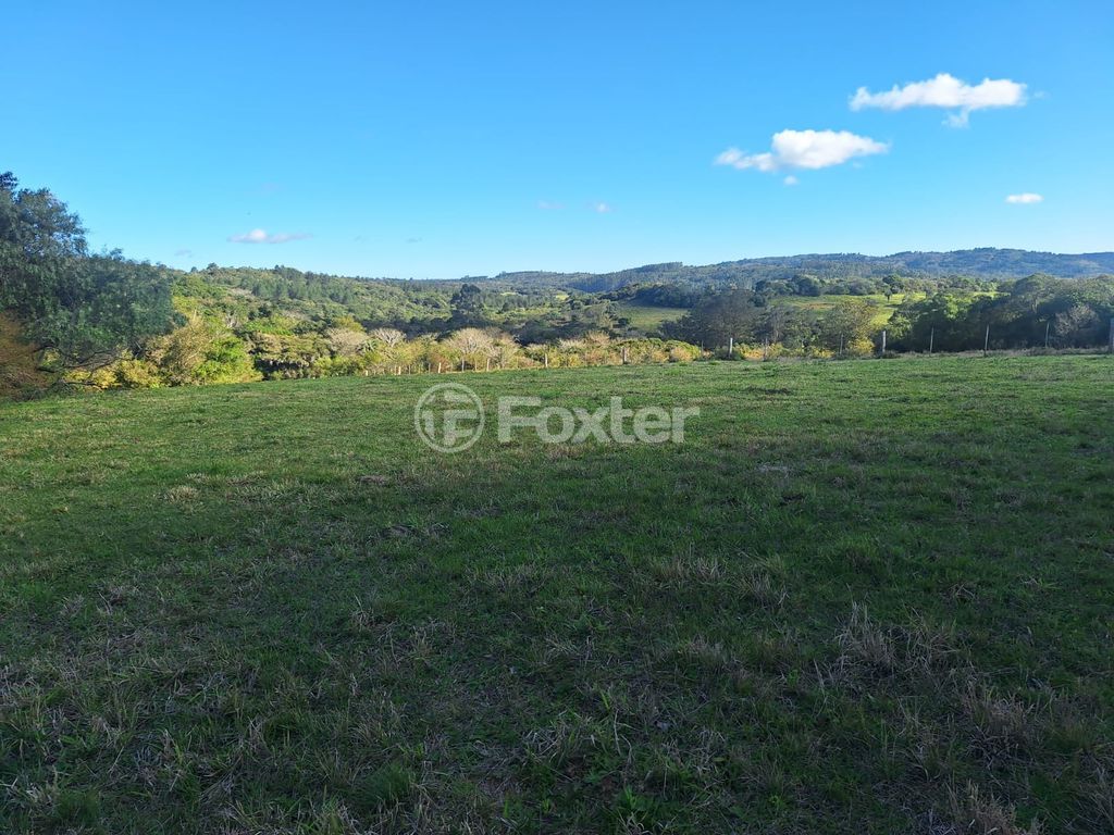sitio chachara fazenda para comprar em Ricardo Vieira de Barcelos, 7667 - foto 7
