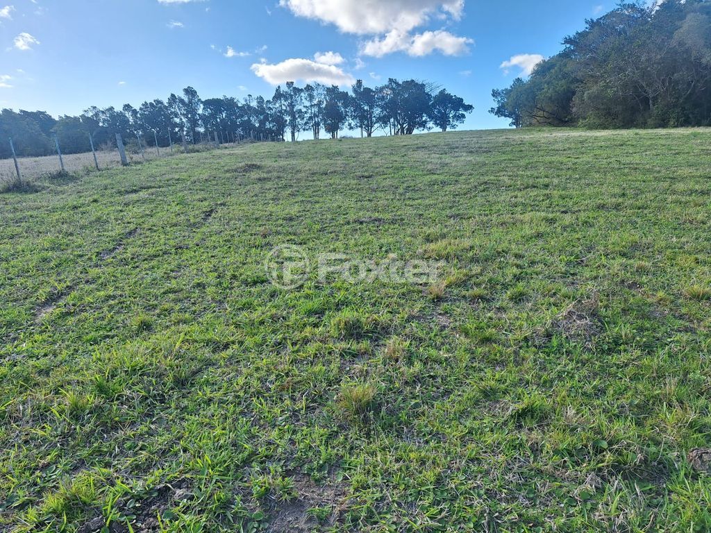 sitio chachara fazenda para comprar em Ricardo Vieira de Barcelos, 7667 - foto 9