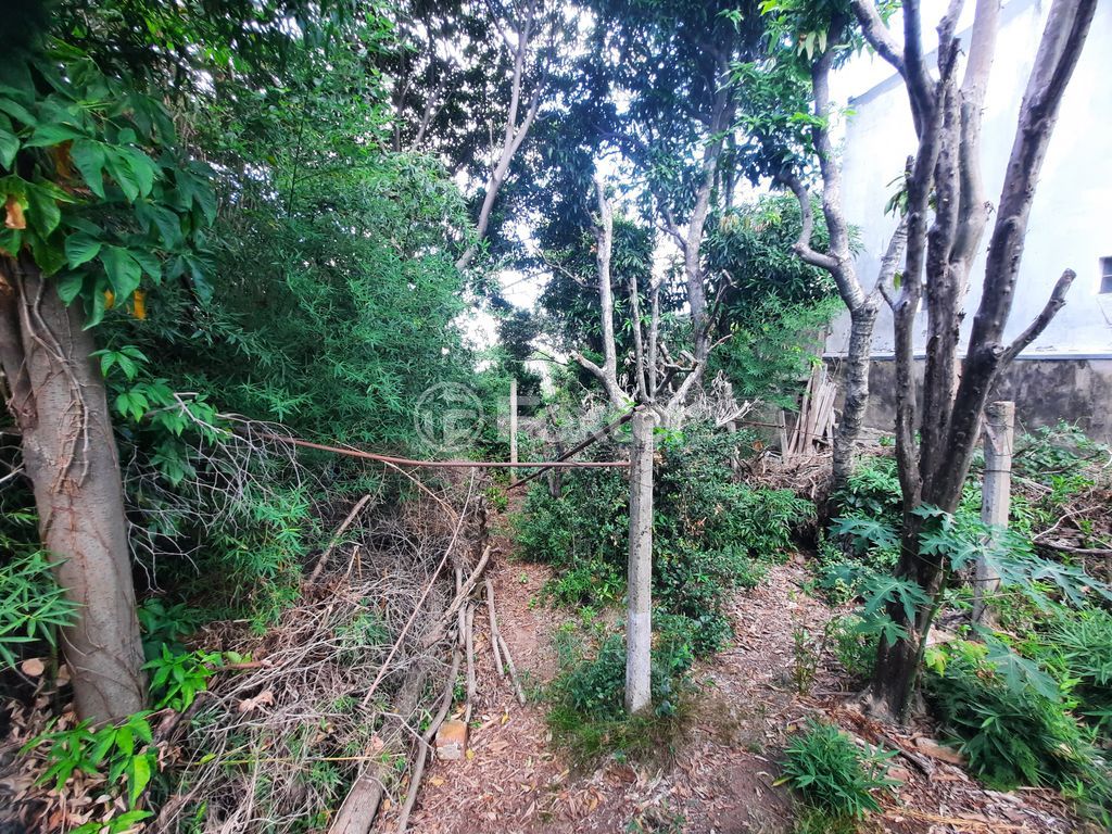 terreno lote condominio para comprar em Delfino Riet, 478 - foto 8