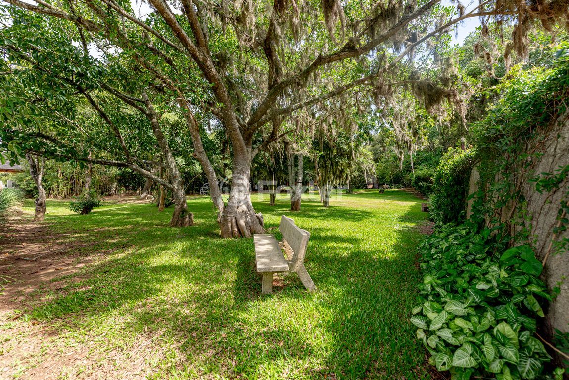 sitio chachara fazenda para comprar em Retiro da Ponta Grossa, 4948 - foto 34