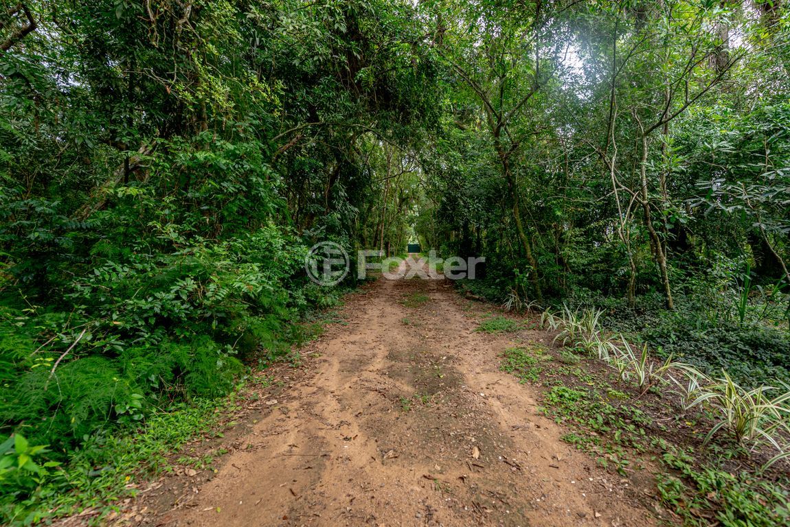 sitio chachara fazenda para comprar em Retiro da Ponta Grossa, 4948 - foto 49