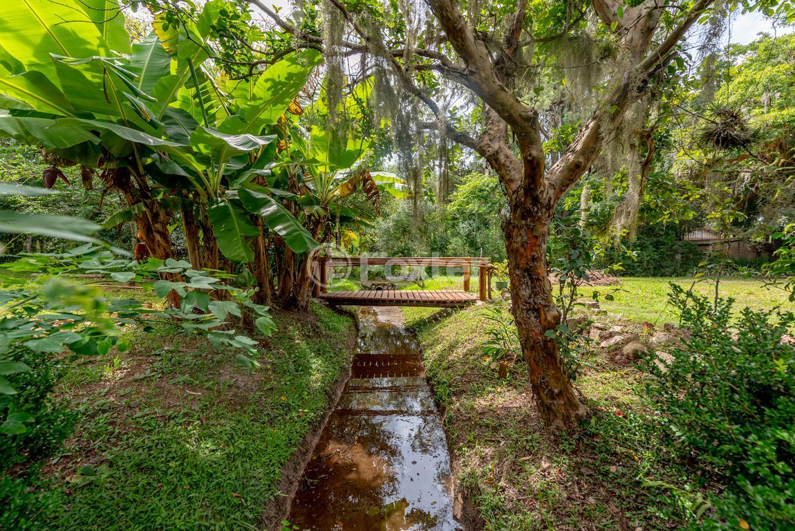 sitio chachara fazenda para comprar em Retiro da Ponta Grossa, 4948 - foto 45