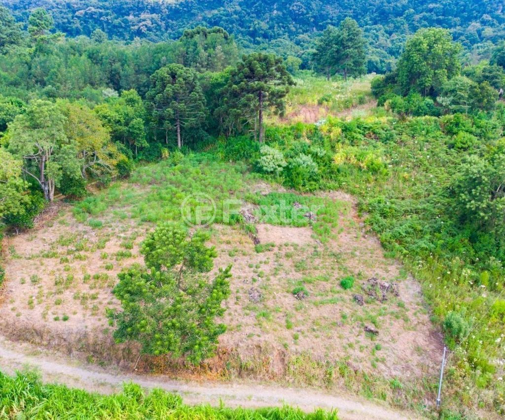sitio chachara fazenda para comprar em Antônio Grasse, S/Número - foto 10
