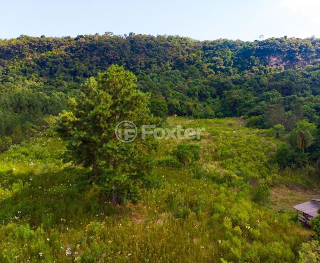sitio chachara fazenda para comprar em Antônio Grasse, S/Número - foto 9