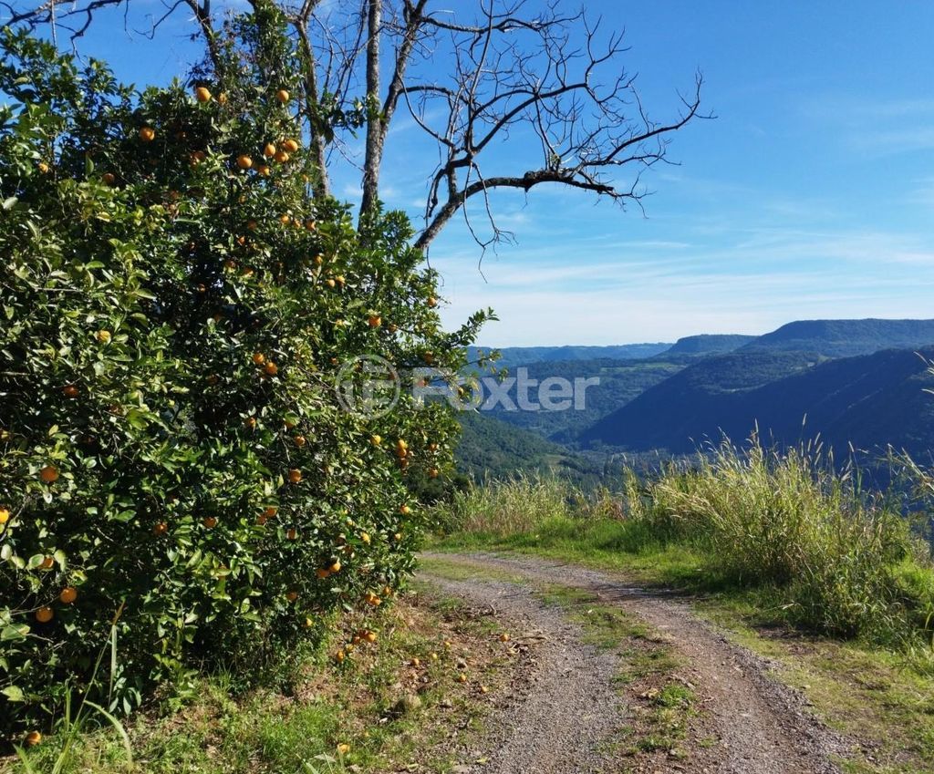 sitio chachara fazenda para comprar em Antônio Grasse, S/Número - foto 8