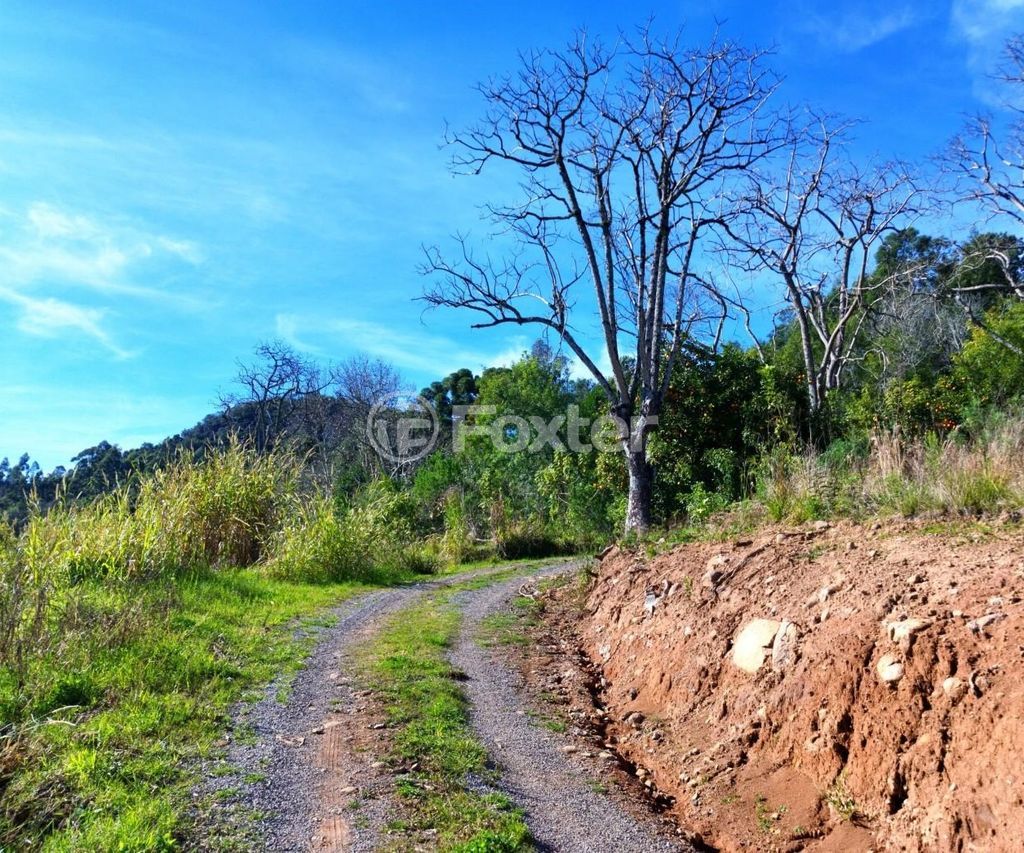 sitio chachara fazenda para comprar em Antônio Grasse, S/Número - foto 7