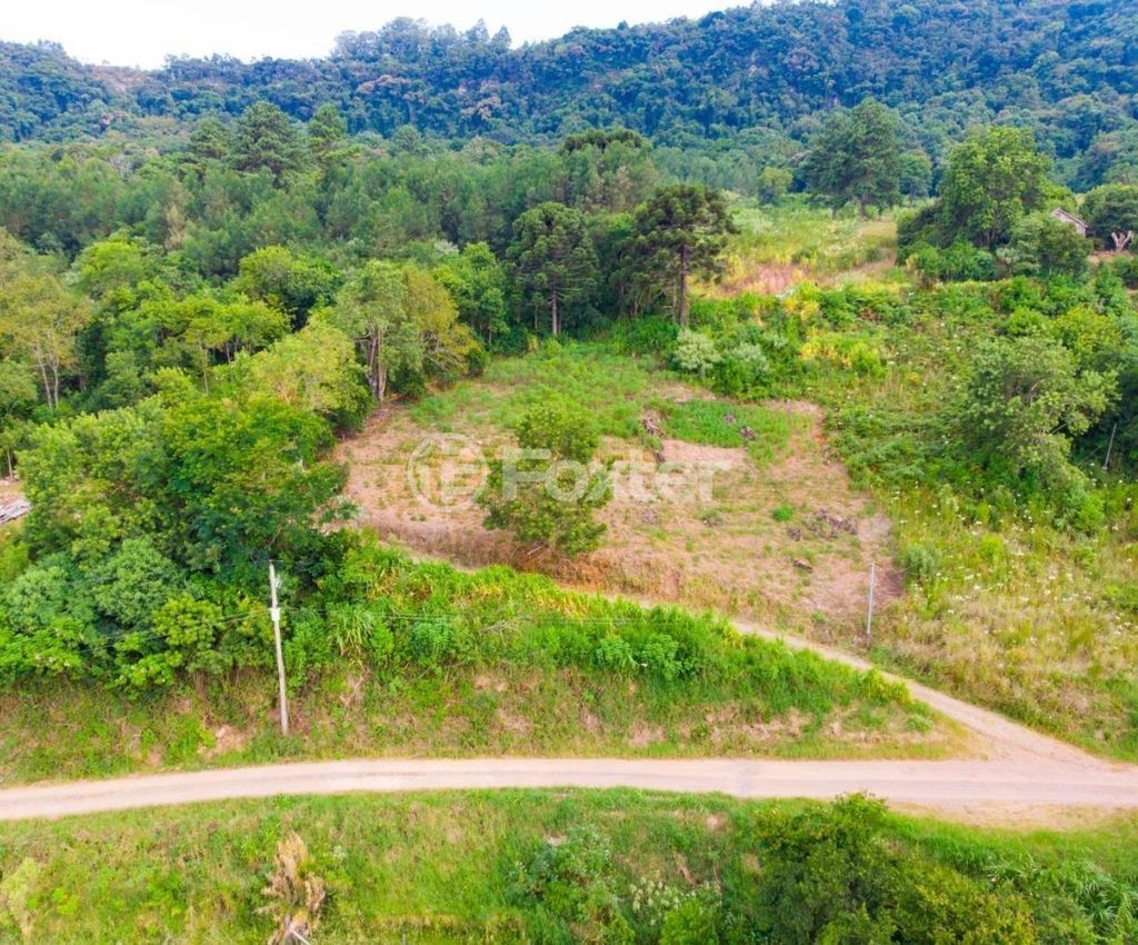 sitio chachara fazenda para comprar em Antônio Grasse, S/Número - foto 12