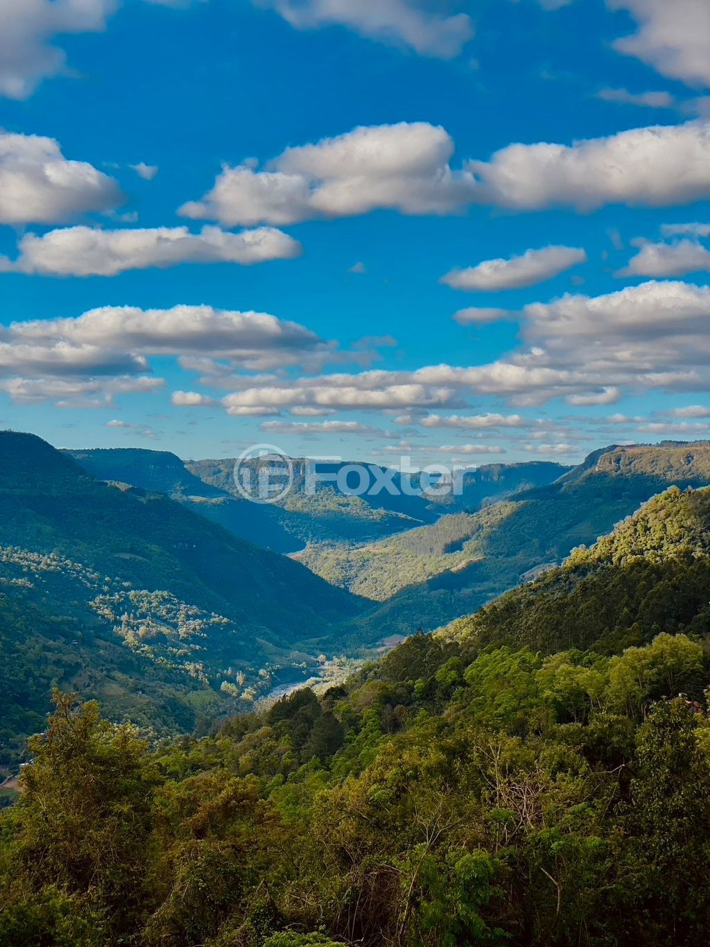 sitio chachara fazenda para comprar em Antônio Grasse, S/Número - foto 23