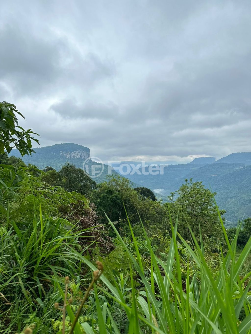 sitio chachara fazenda para comprar em Antônio Grasse, S/Número - foto 28