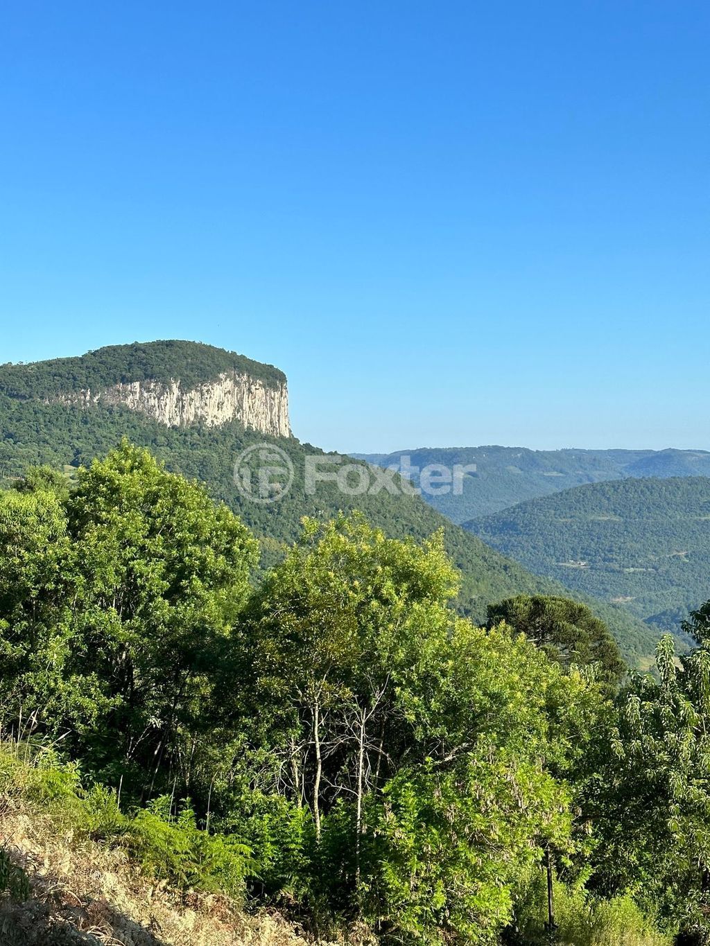 sitio chachara fazenda para comprar em Antônio Grasse, S/Número - foto 27