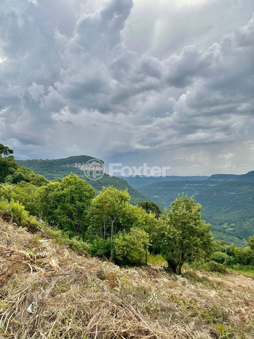 sitio chachara fazenda para comprar em Antônio Grasse, S/Número - foto 14