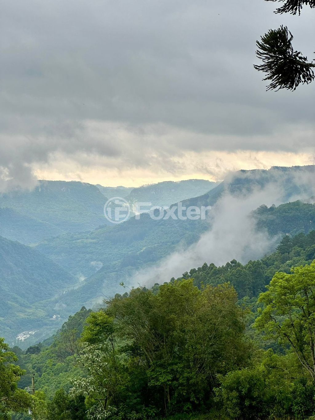 sitio chachara fazenda para comprar em Antônio Grasse, S/Número - foto 13