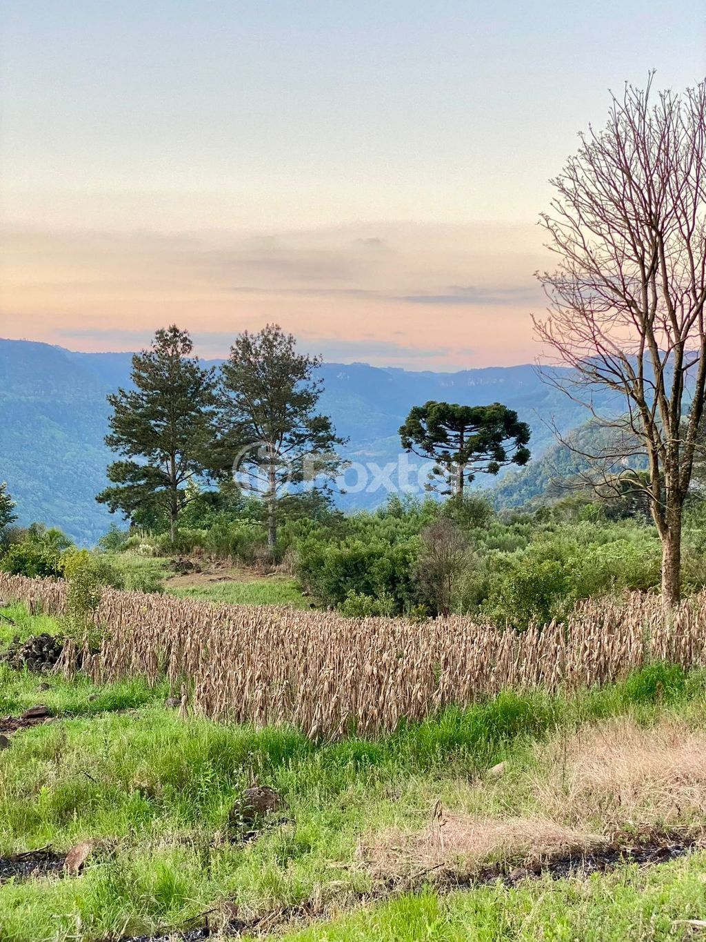 sitio chachara fazenda para comprar em Antônio Grasse, S/Número - foto 15