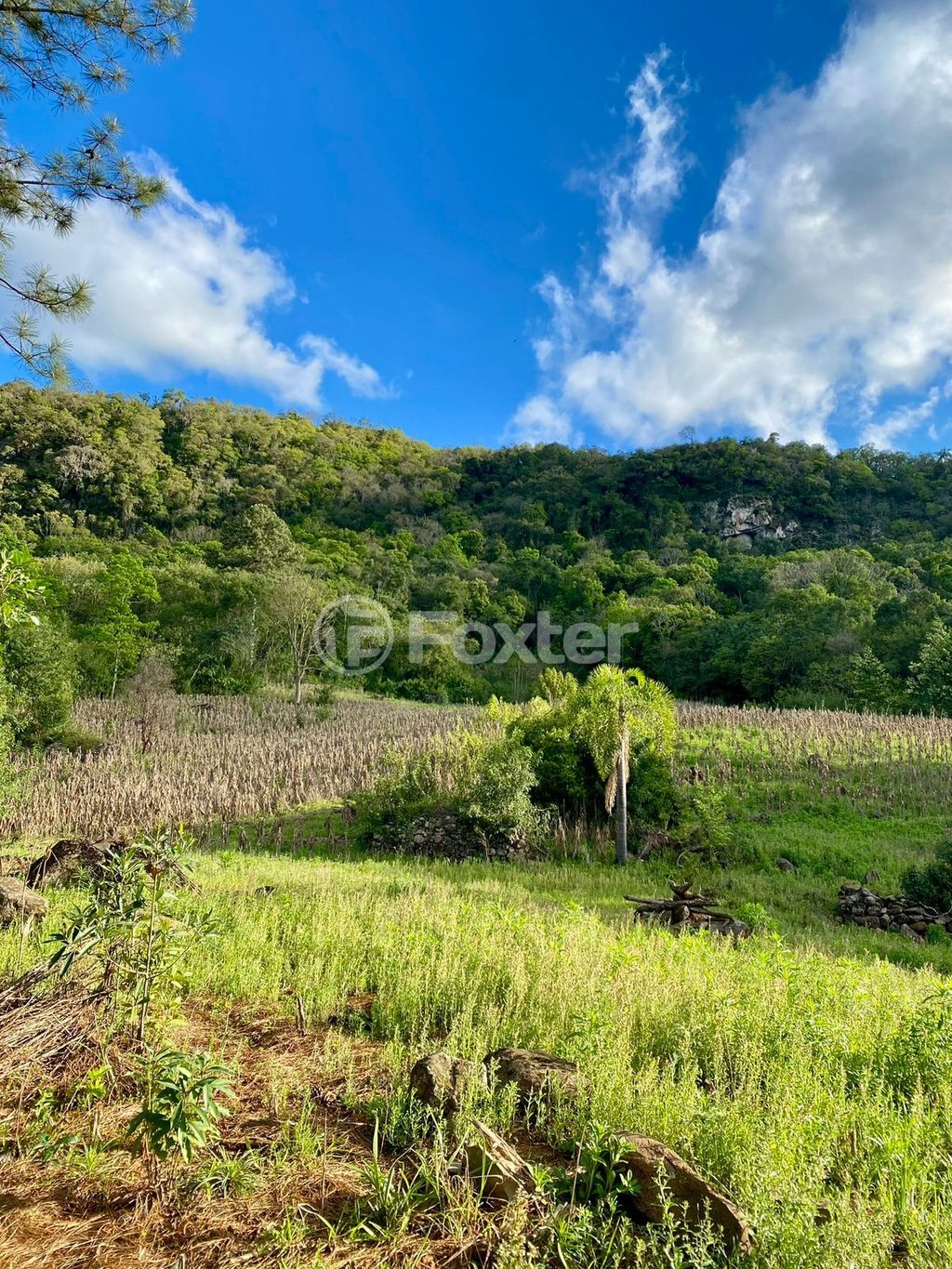 sitio chachara fazenda para comprar em Antônio Grasse, S/Número - foto 17
