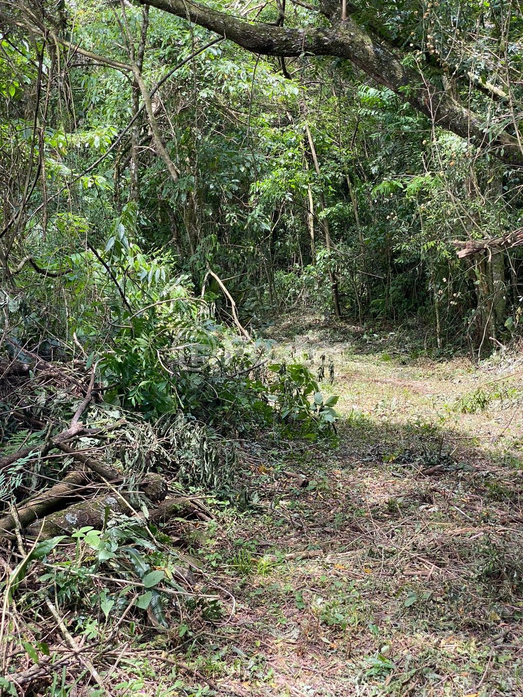 sitio chachara fazenda para comprar em Antônio Grasse, S/Número - foto 18