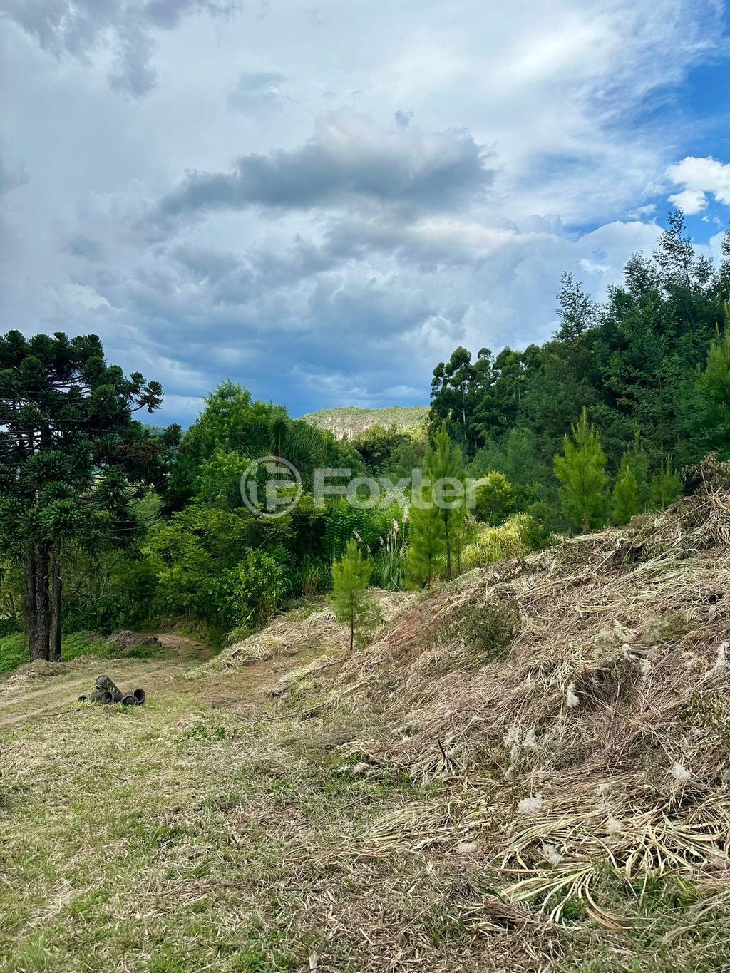 sitio chachara fazenda para comprar em Antônio Grasse, S/Número - foto 20