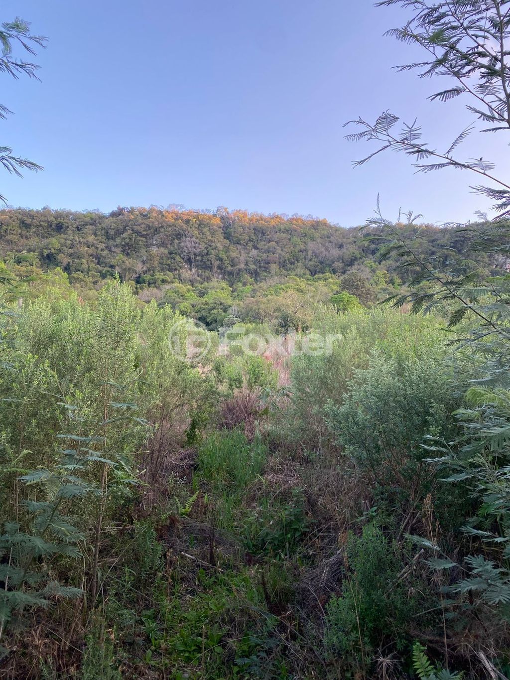 sitio chachara fazenda para comprar em Antônio Grasse, S/Número - foto 19