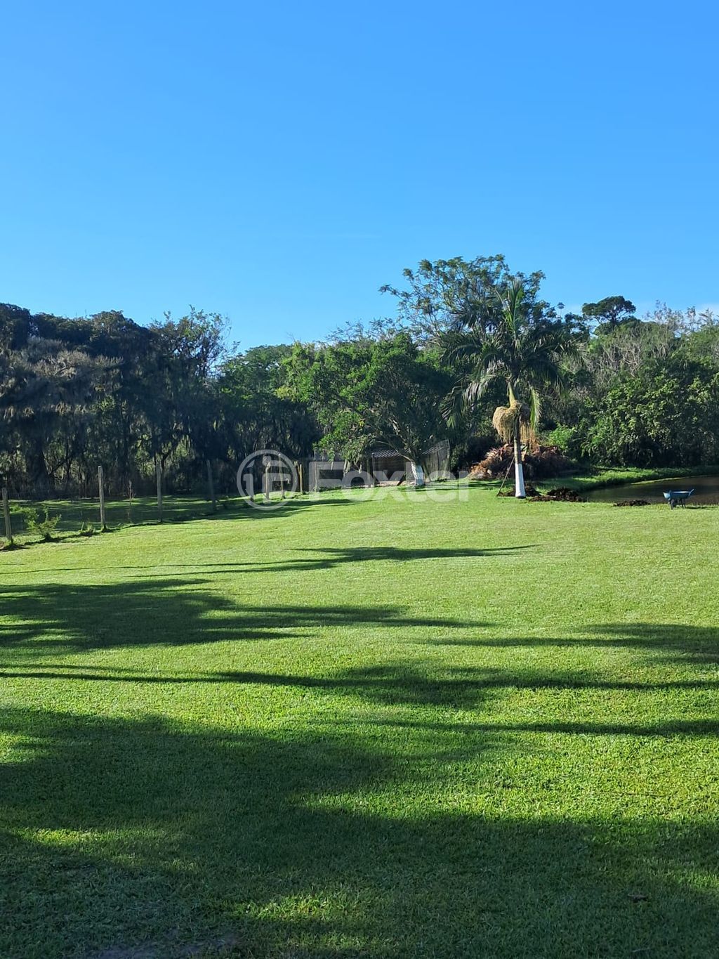 sitio chachara fazenda para comprar em Vicente Felisberto Lopes Pacheco, 1612 - foto 7