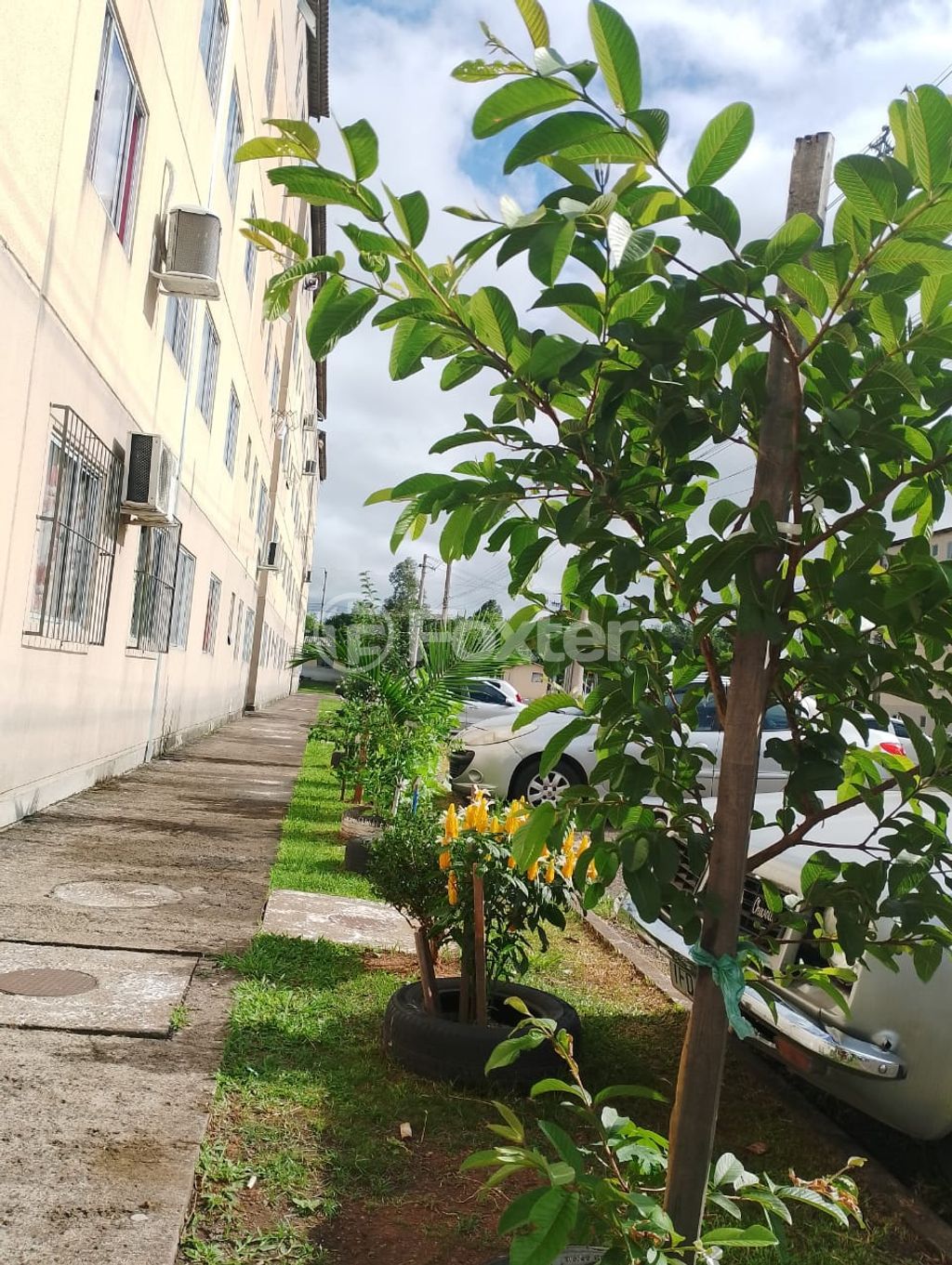 Apartamento para comprar em Dirneide Isabel Goulart, 184 - foto 14