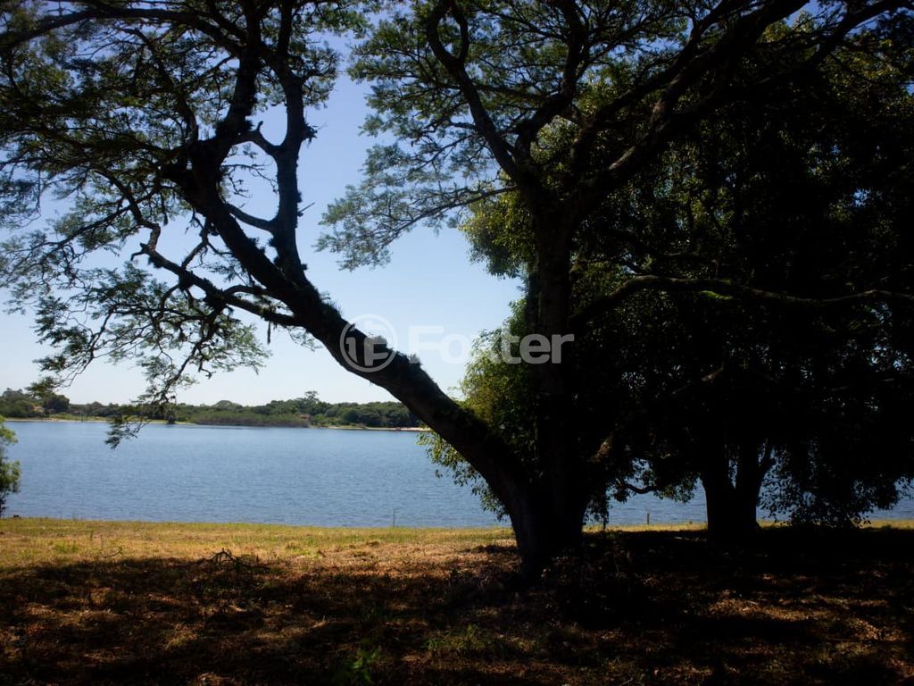 sitio chachara fazenda para comprar em dos Viégas, 519 - foto 10