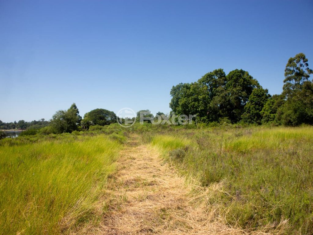 sitio chachara fazenda para comprar em dos Viégas, 519 - foto 13