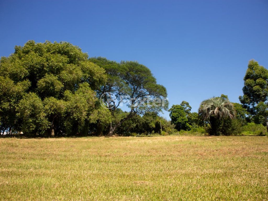 sitio chachara fazenda para comprar em dos Viégas, 519 - foto 14