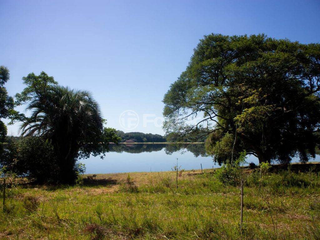 sitio chachara fazenda para comprar em dos Viégas, 519 - foto 15