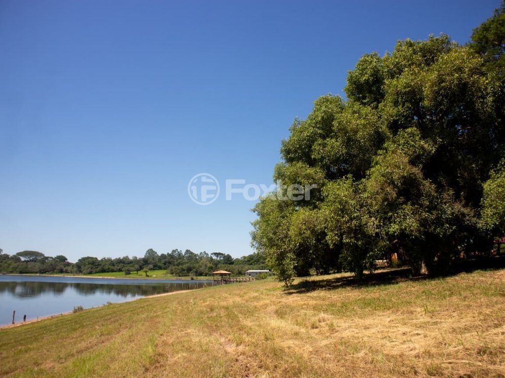 sitio chachara fazenda para comprar em dos Viégas, 519 - foto 16