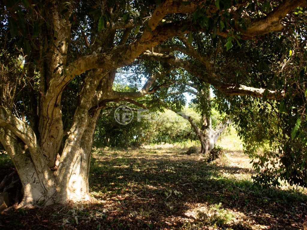 sitio chachara fazenda para comprar em dos Viégas, 519 - foto 18