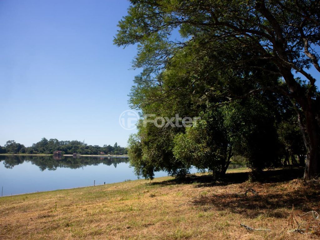 sitio chachara fazenda para comprar em dos Viégas, 519 - foto 19