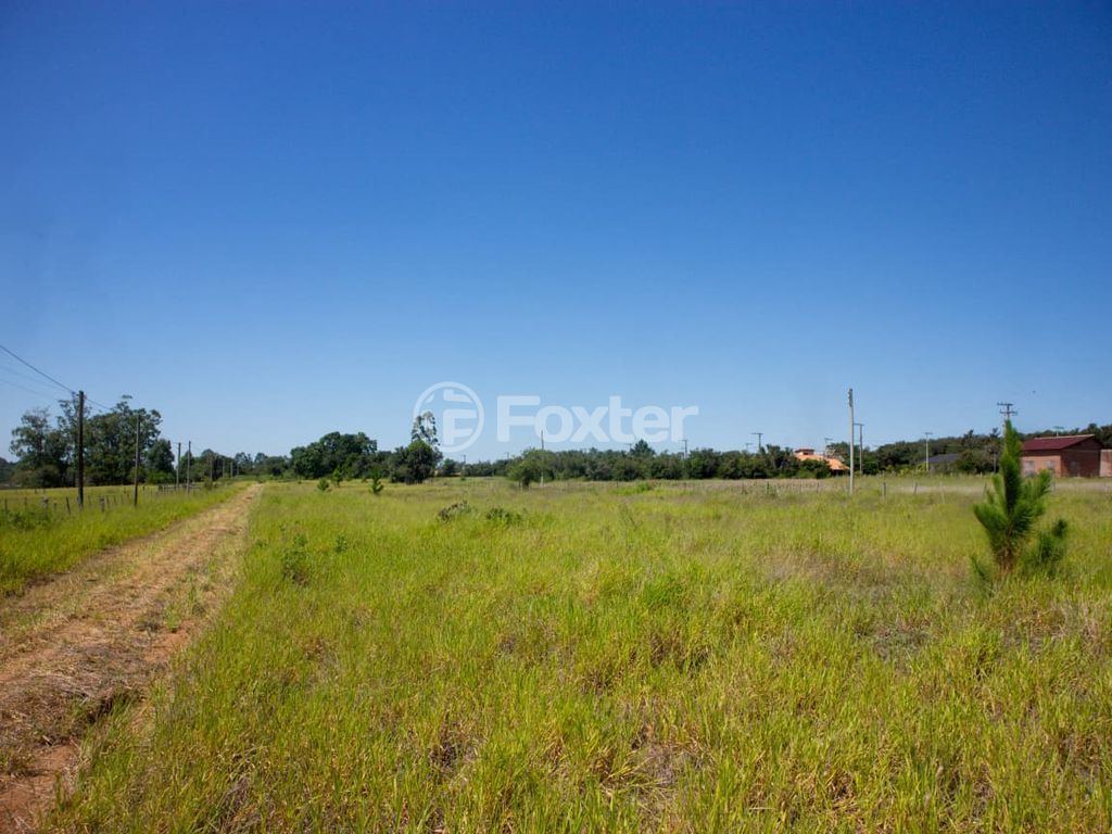 sitio chachara fazenda para comprar em dos Viégas, 519 - foto 9